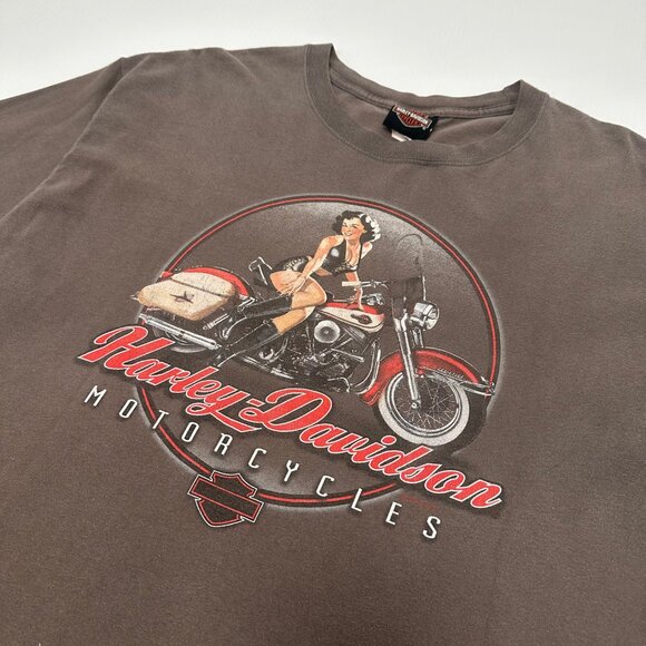 Harley Davidson Niagara Falls Graphic Tee XL - Picture 3 of 5
